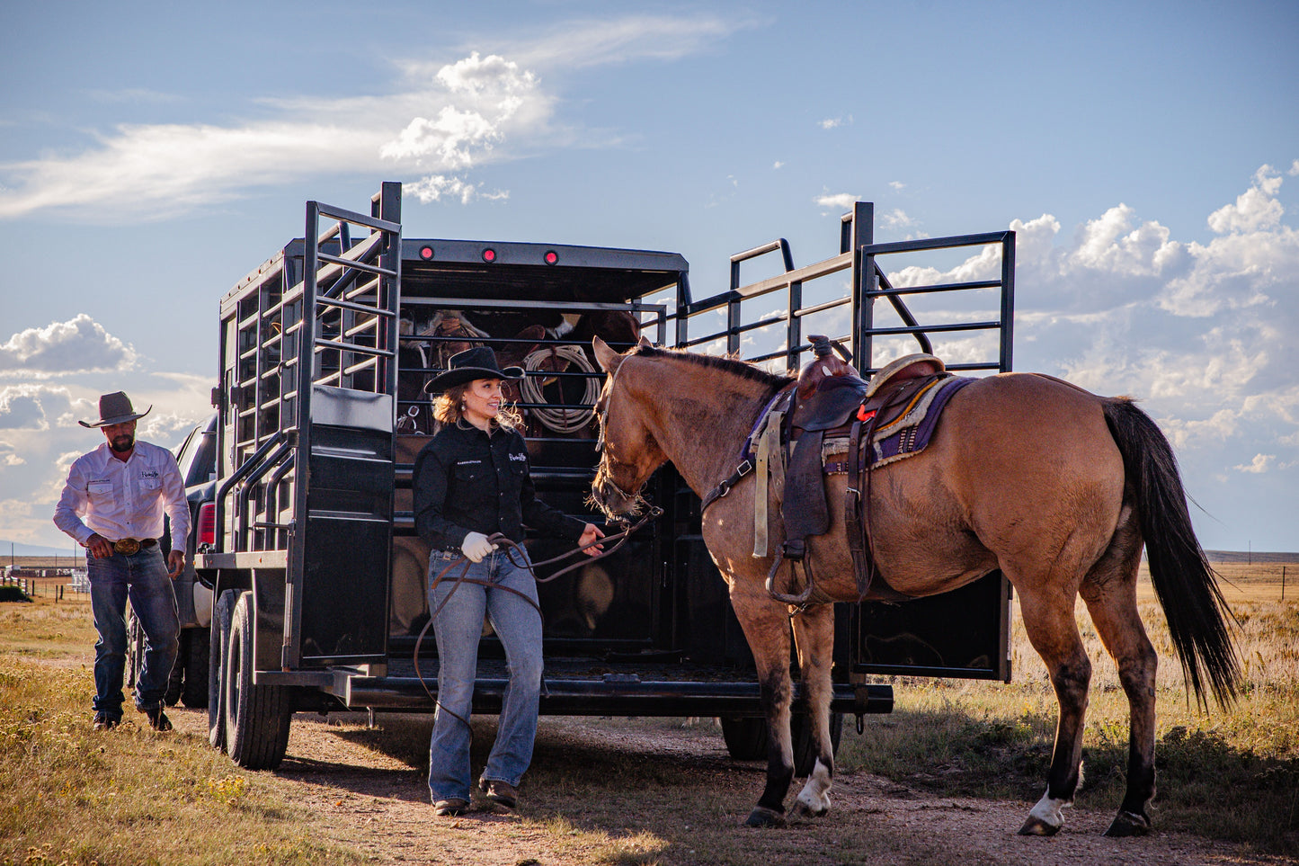 "The Rancher" Apex Livestock Trailer