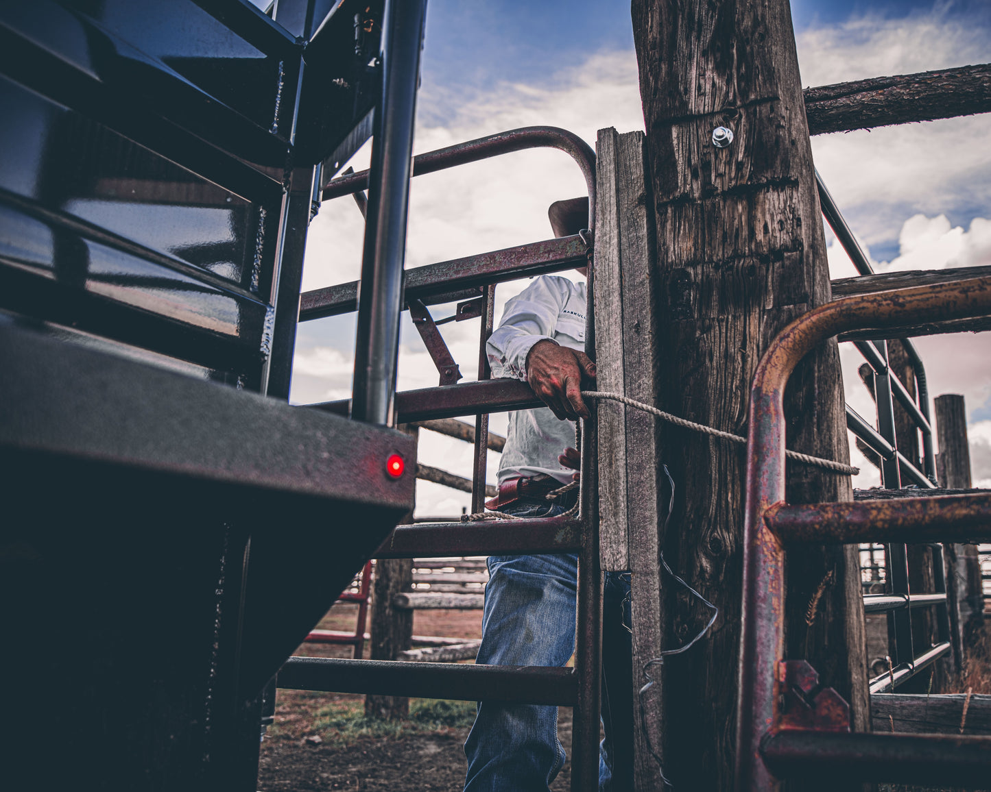 "The Rancher" Apex Livestock Trailer