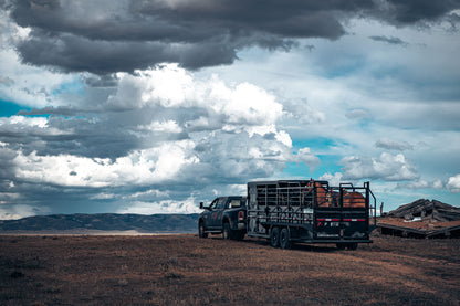 "The Rancher" Apex Livestock Trailer