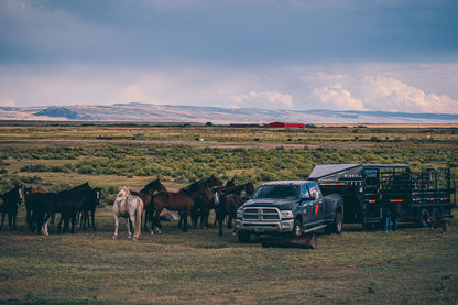 "The Rancher" Apex Livestock Trailer