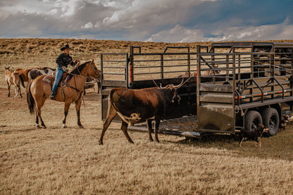 "The Rancher" Apex Livestock Trailer