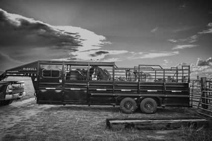 "The Rancher" Apex Livestock Trailer