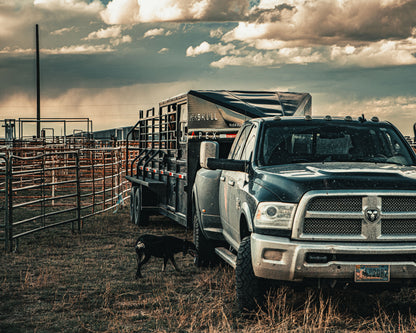 "The Rancher" Apex Livestock Trailer